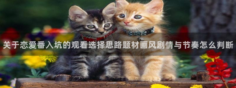 奇漫屋漫画分类大全:关于恋爱番入坑的观看选择思路题材画风剧情与节奏怎么判断配图