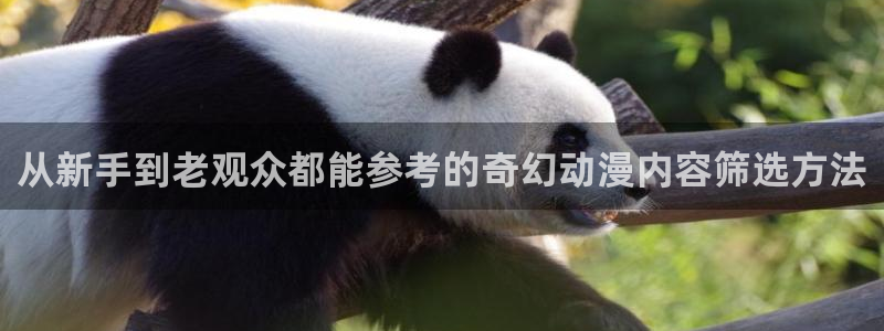 奇漫屋人气作品：从新手到老观众都能参考的奇幻动漫内容筛选方法配图
