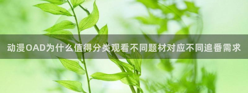 奇漫屋漫画分类推荐：动漫OAD为什么值得分类观看不同题材对应不同追番需求配图