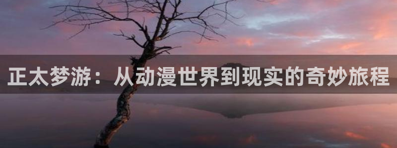 奇漫屋官网入口:正太梦游:从动漫世界到现实的奇妙旅程配图
